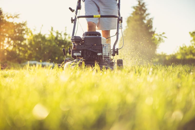 Gardening work